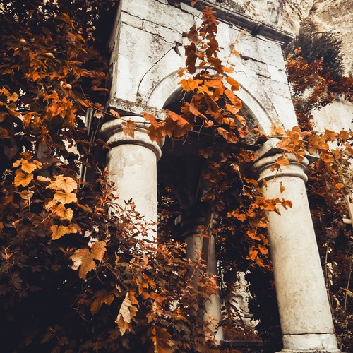 Photo #14005763