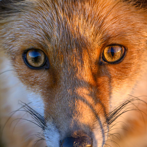 Photo #14005769
