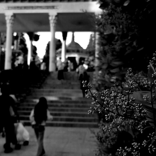 Tranquility in the mausoleum