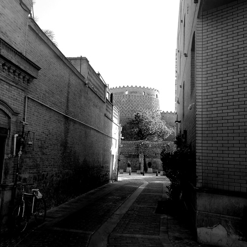 Photo #14005886