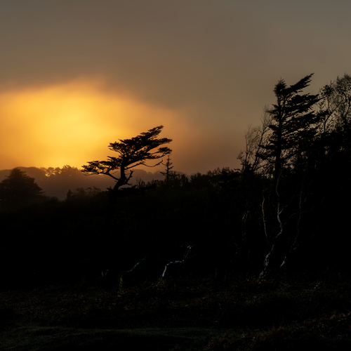 Photo #14005903
