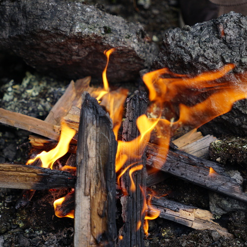 Photo #14005948