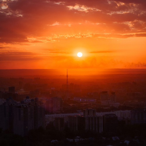 Photo #14006023