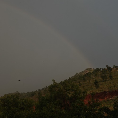 Photo #14006377