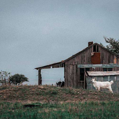 Photo #14006441