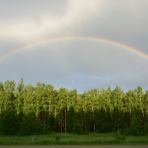 Photo #14006478