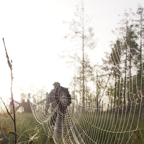 Photo #14006550