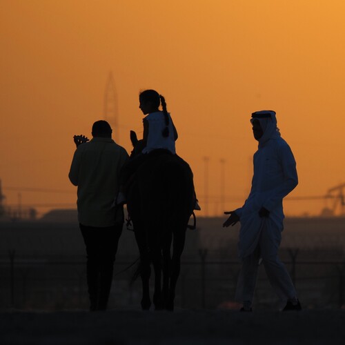 Photo #14006551