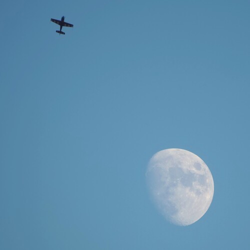 Photo #14006575