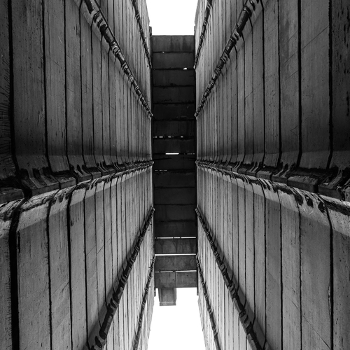 Photo #14006595