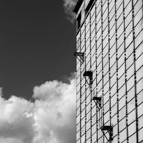 Photo #14006601