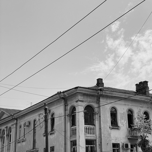 Photo #14006612