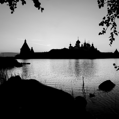 Photo #14006842