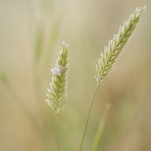 Photo #14006935