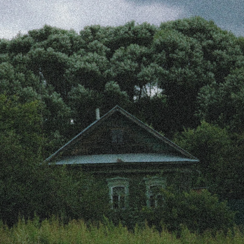 Photo #14006960