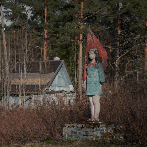 Photo #14007114