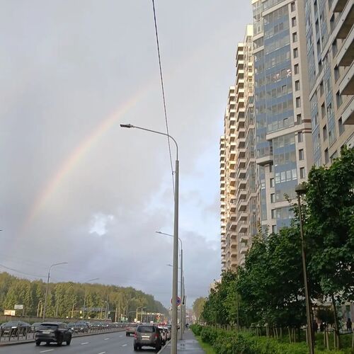 Photo #14007187