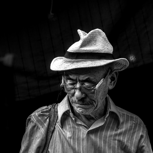 Photo #14007228