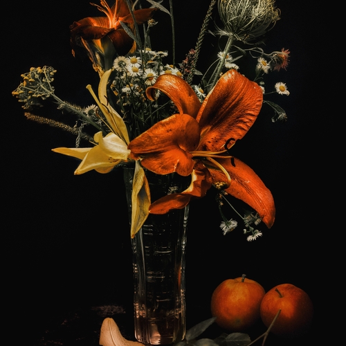 Autumn Still Life: Fading Warmth