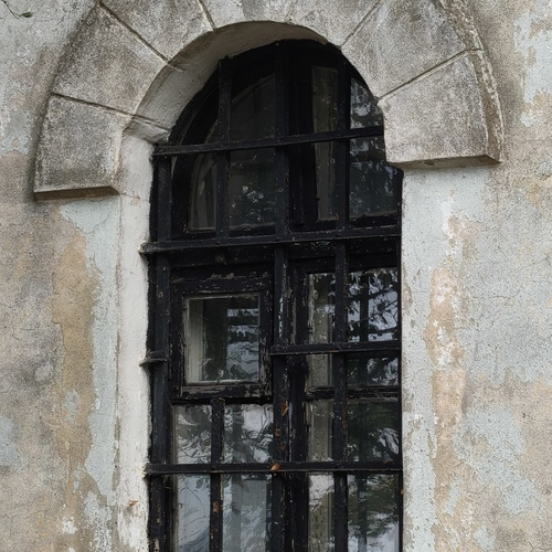 Photo #14007344