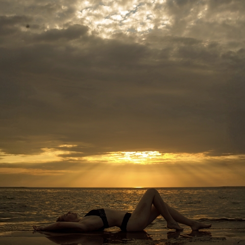 Photo #14007348