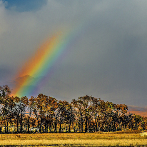 Rainbow