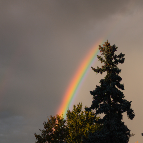 Photo #14007359