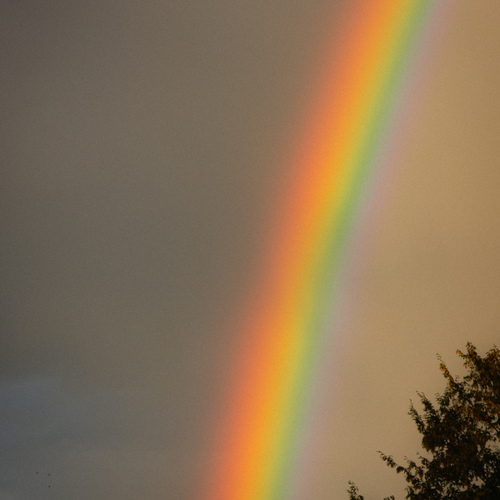 Photo #14007361