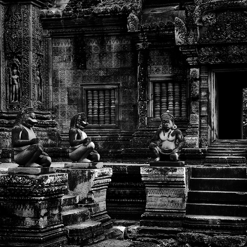 Photo #14007633