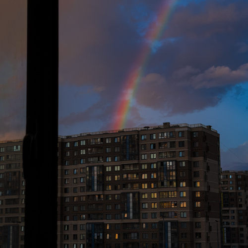 Photo #14007684