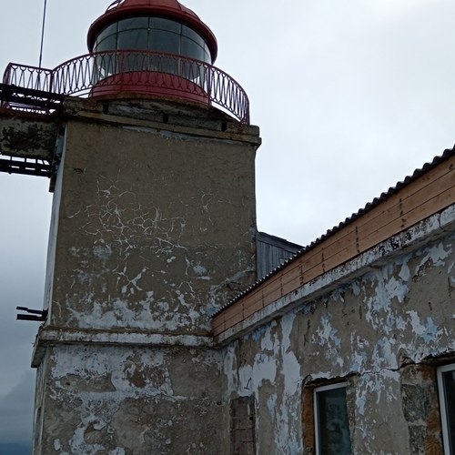 Photo #14007805