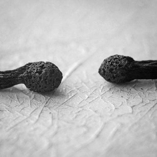 Photo #14007995