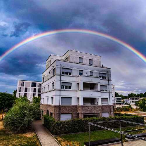 Photo #14008018