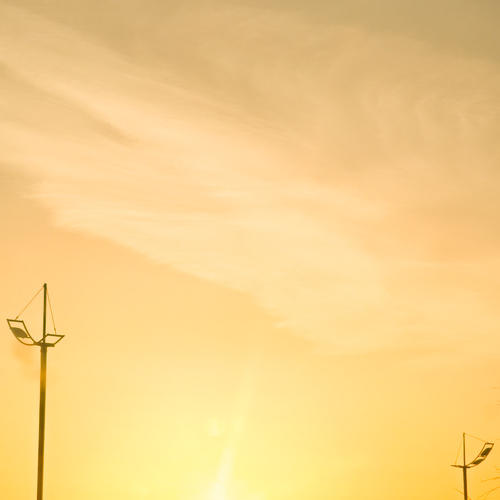 Photo #14008083