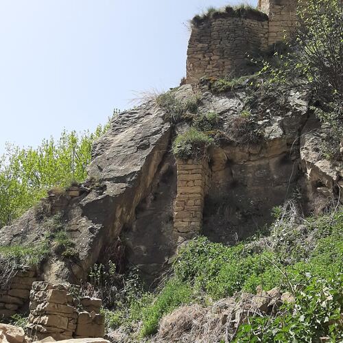 Photo #14008132