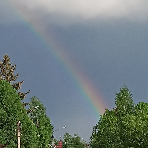 Photo #14008162