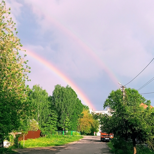 Photo #14008163