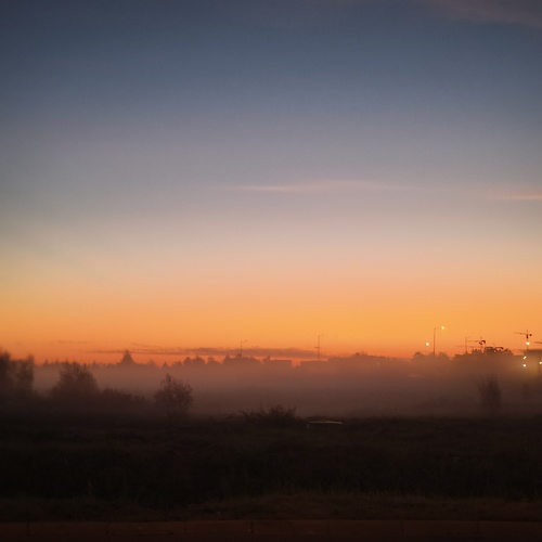 Photo #14008209