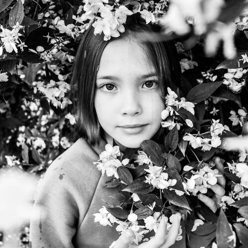 Photo #14008332