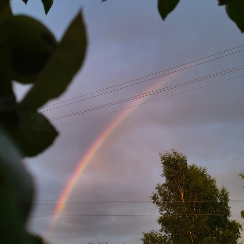 Photo #14008368