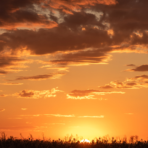 Photo #14008369