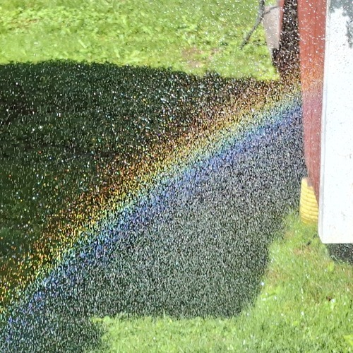 Photo #14008420