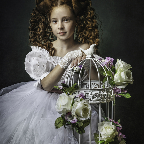 Photo #14008497