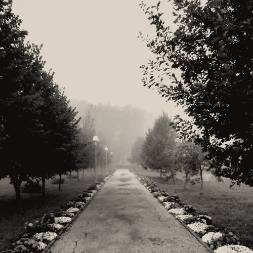 Photo #14008506