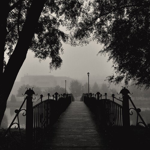 Photo #14008513