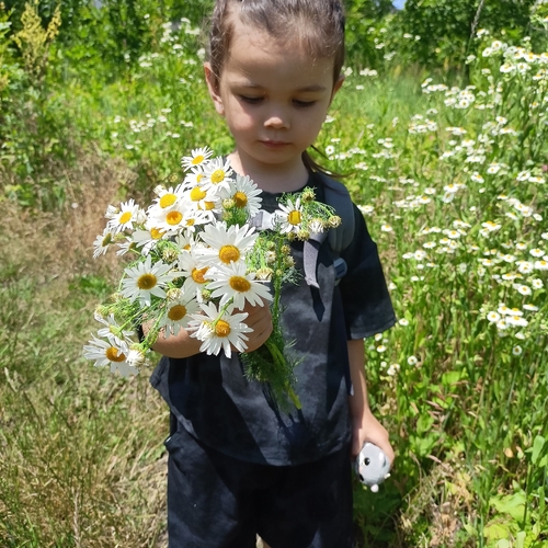 Photo #14008519