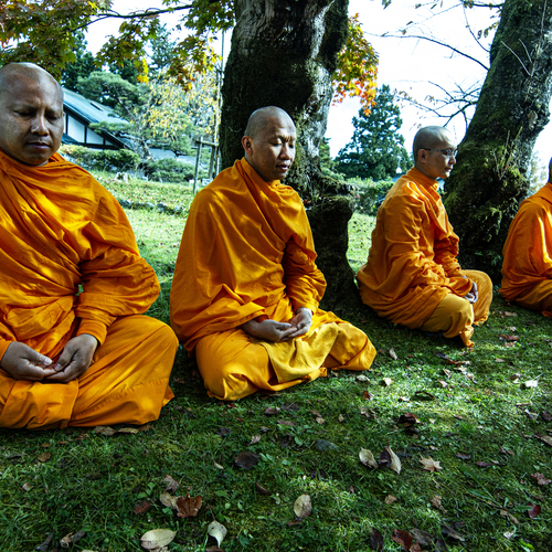 Photo #14008528