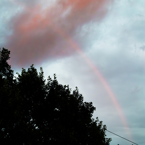 Photo #14008539