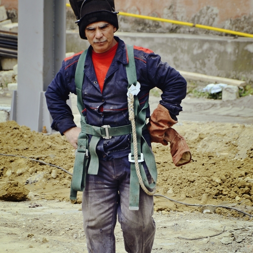 Photo #14008664