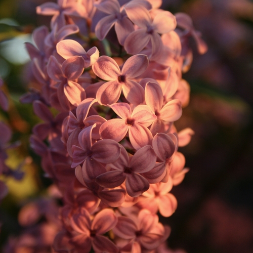 Photo #14008686